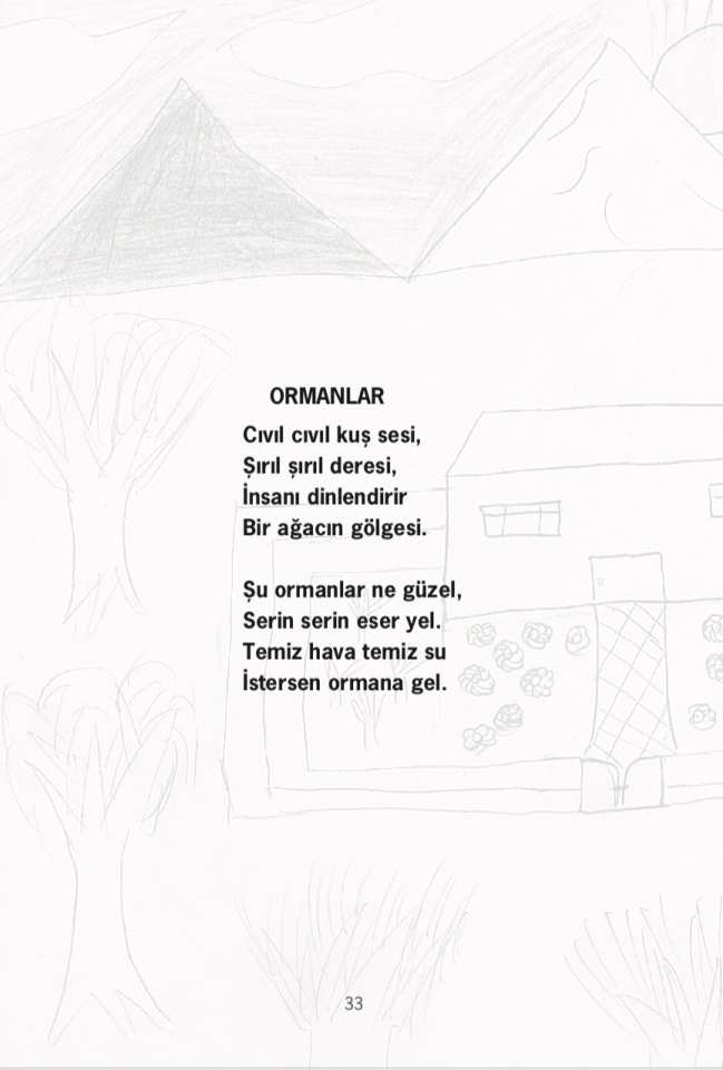 Sevgi Çiçekleri